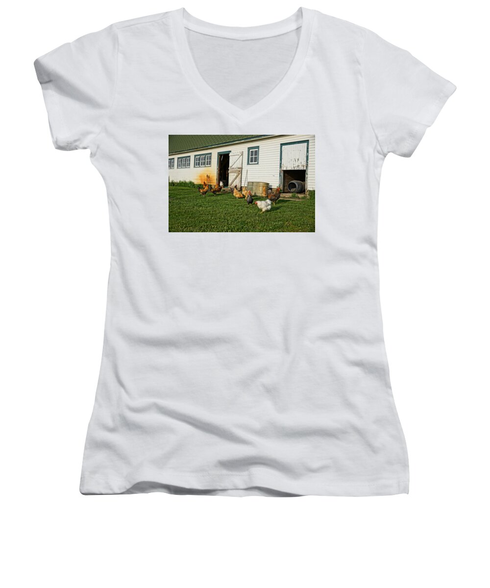 Chickens Women's V-Neck featuring the photograph Chickens By The Barn by Steven Clipperton