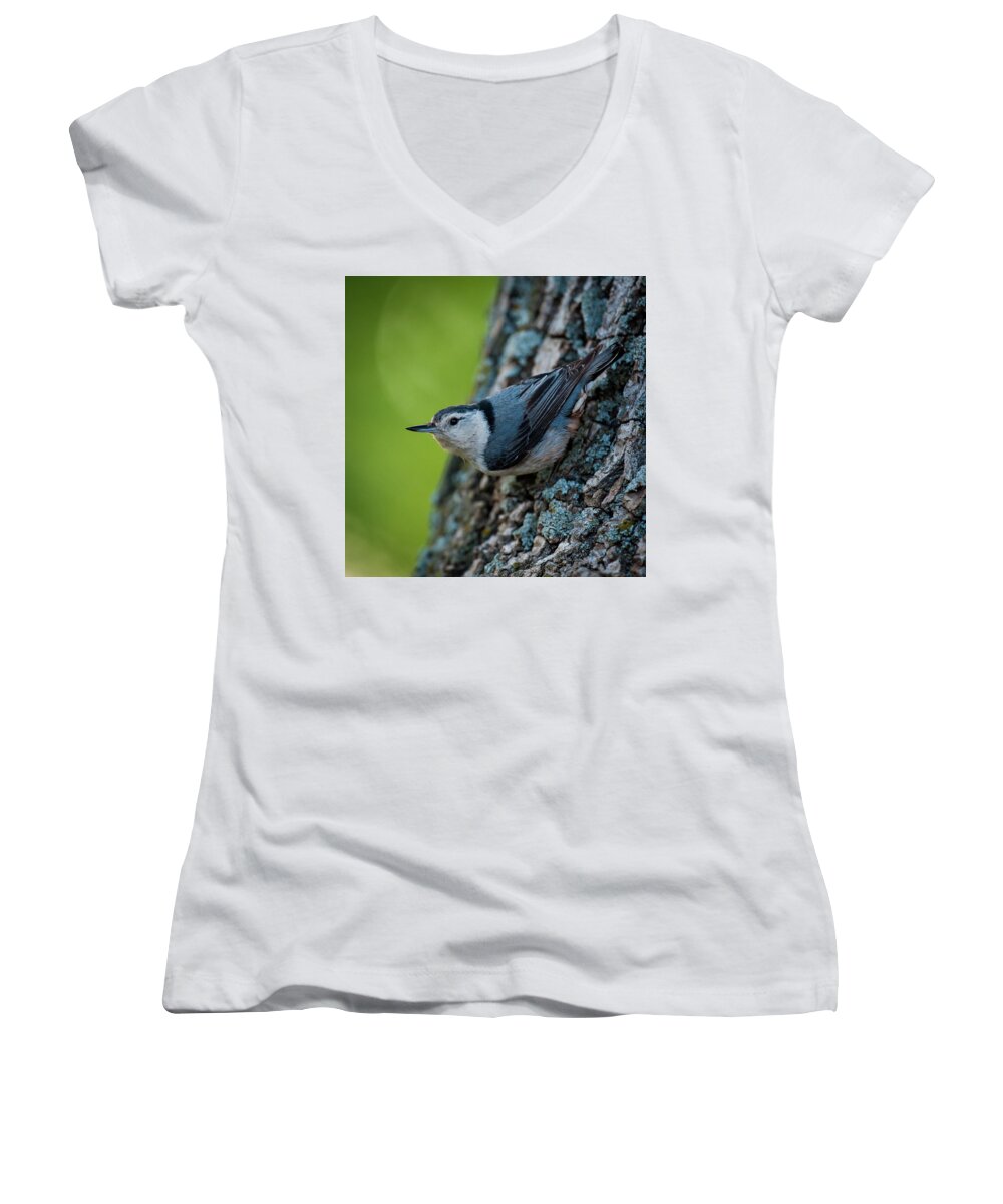 Nature Women's V-Neck featuring the photograph Classic Pose by Jeff Phillippi