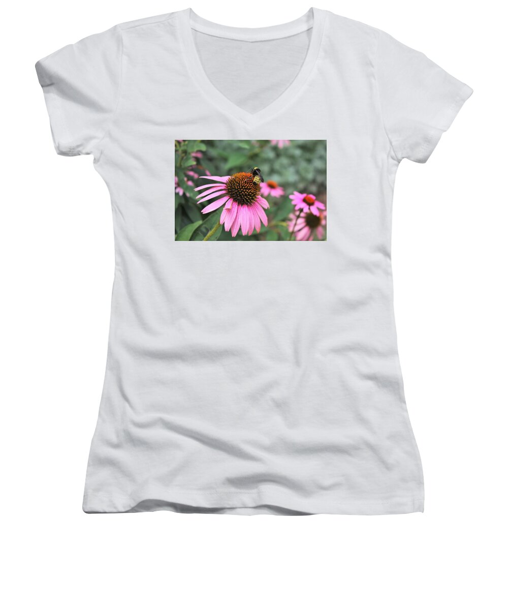 Nature Women's V-Neck featuring the photograph Coneflowers and Bee by Sheila Brown
