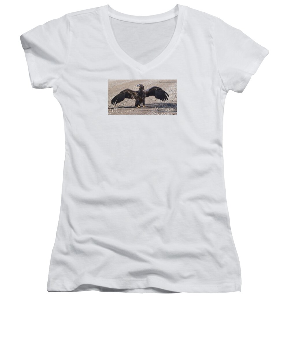 Eagle Women's V-Neck featuring the photograph Cool At Last by Vivian Martin