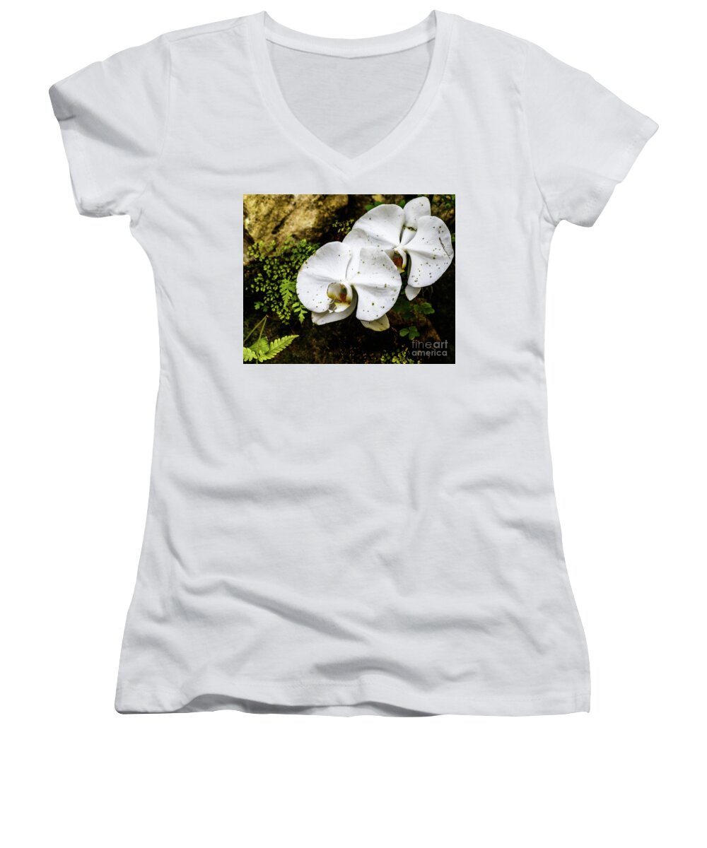 Flower Women's V-Neck featuring the photograph Cookies and Cream by Les Greenwood