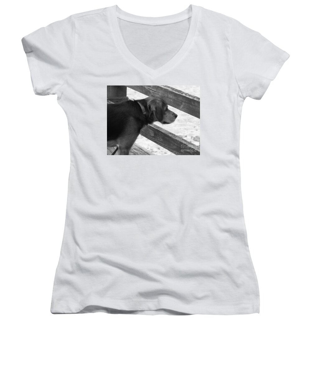 Corby Women's V-Neck featuring the photograph Corby in B and W by Erick Schmidt