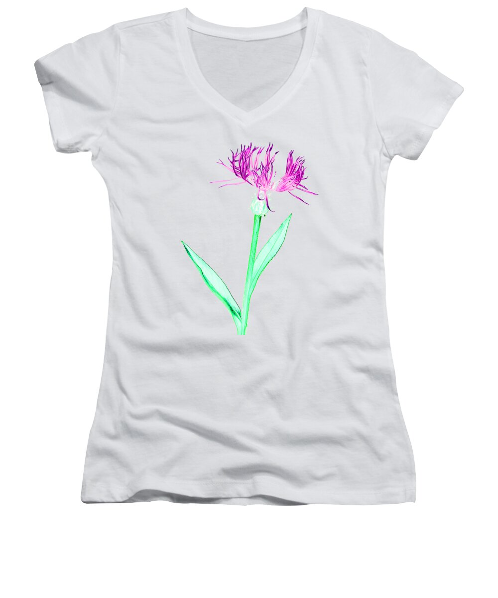 Digital Print Women's V-Neck featuring the photograph Cornflower3 T-shirt by Tony Mills