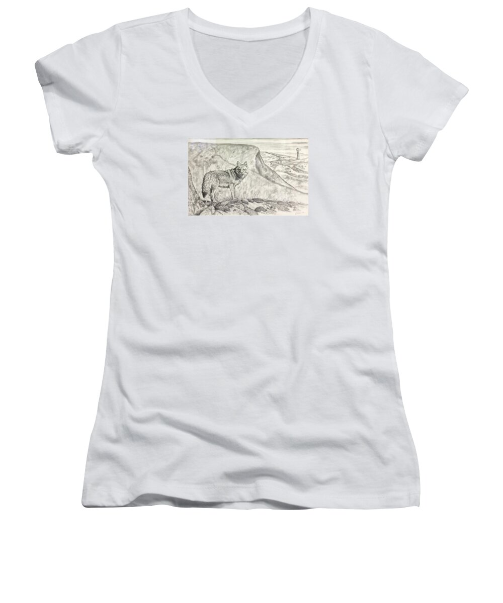 Art Women's V-Neck featuring the drawing Coyote by Bern Miller
