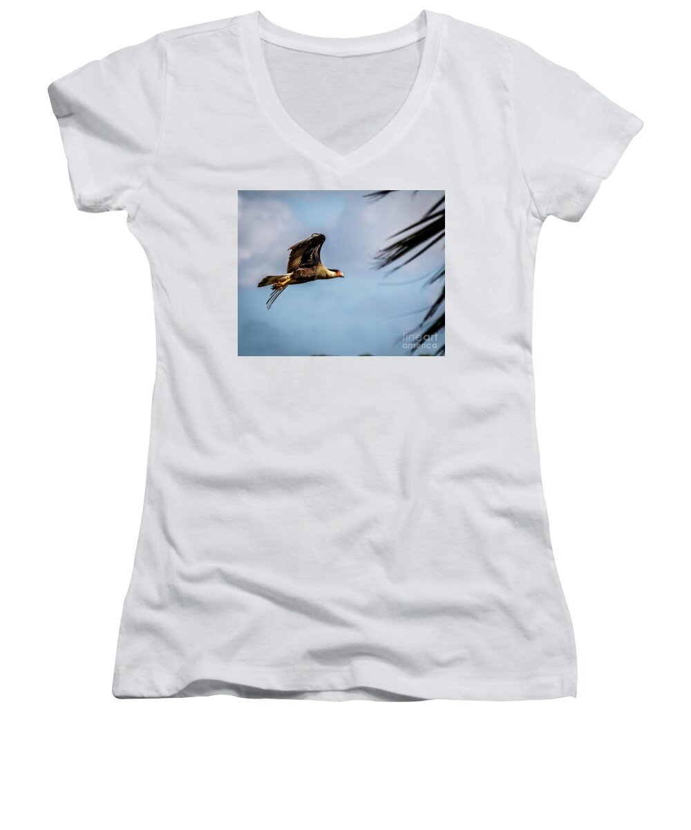Flying Women's V-Neck featuring the photograph Crested Caracara by Les Greenwood