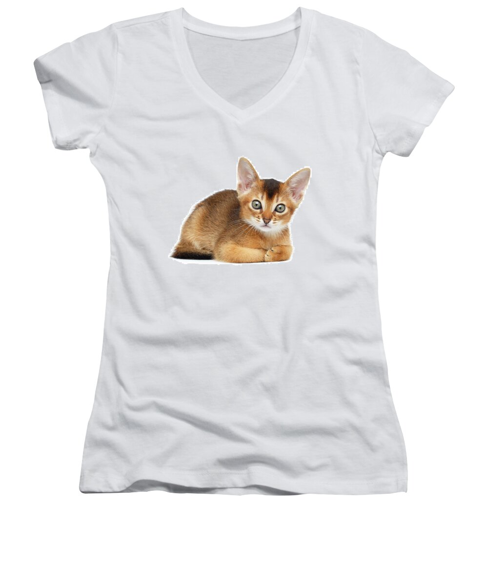 Cat Women's V-Neck featuring the photograph Cute Abyssinian Kitty Funny Lying on Isolated White Background by Sergey Taran