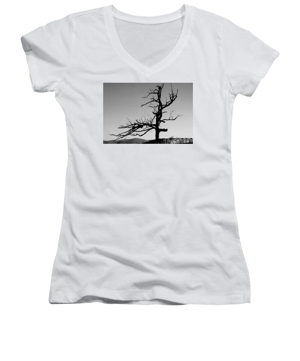 Tree Women's V-Neck featuring the photograph Devoid of Life Tree by Eileen Brymer