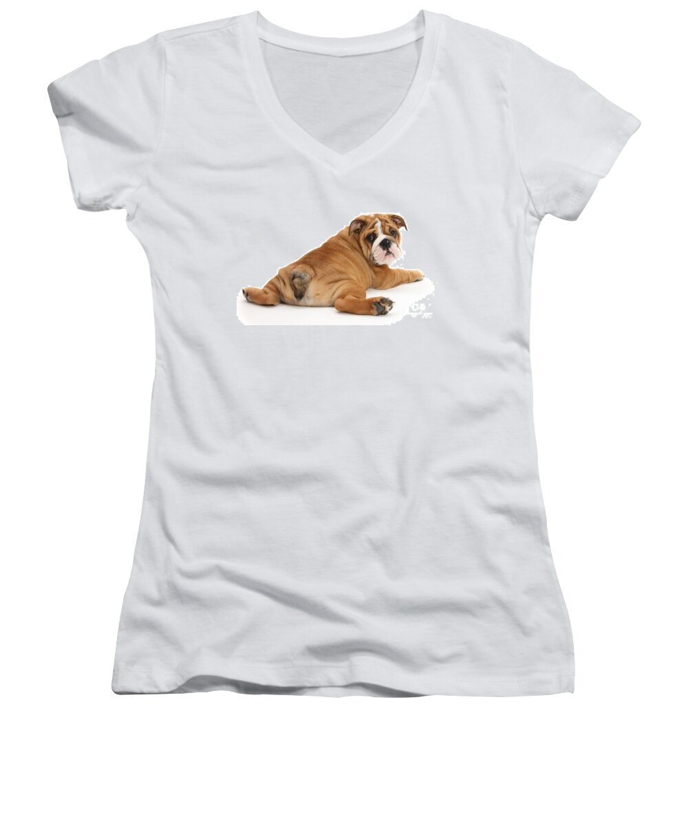 Bulldog Women's V-Neck featuring the photograph Does my bum look big in this? by Warren Photographic
