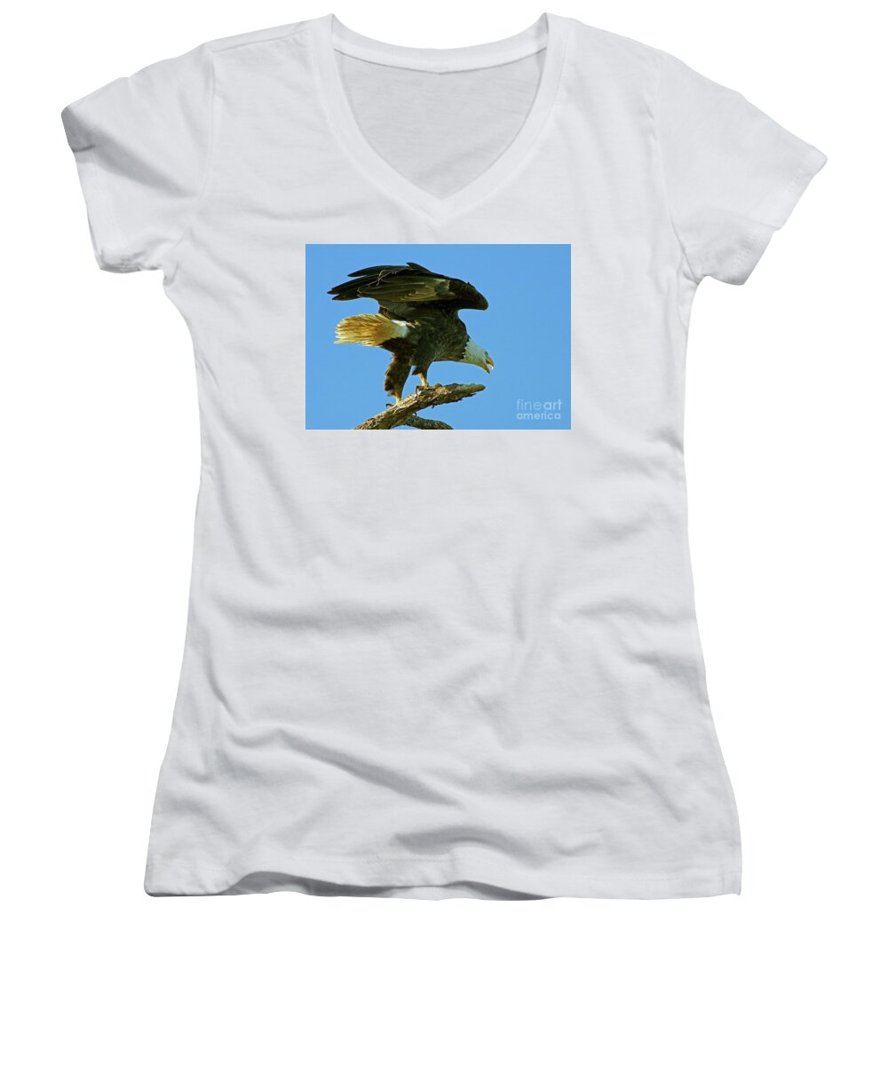 Eagle Women's V-Neck featuring the photograph Eagle Mom, the Scolding by Larry Nieland