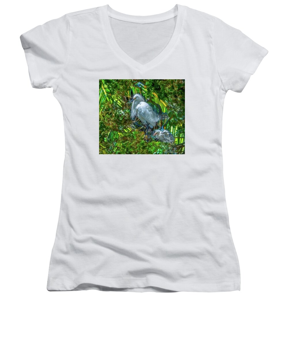 Egret Women's V-Neck featuring the photograph Egret and chicks by Patricia Dennis