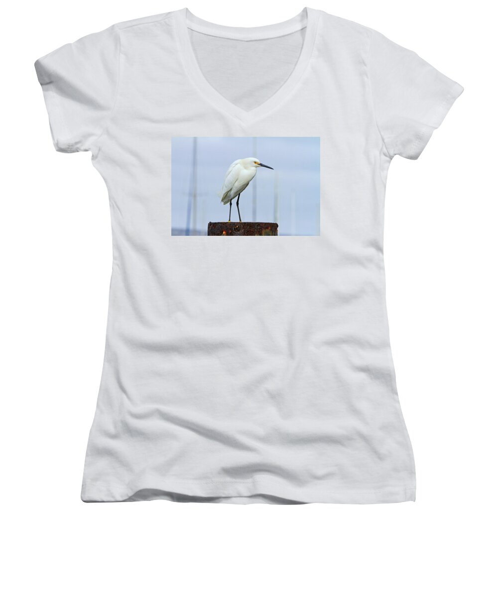 Egret Women's V-Neck featuring the photograph Ever Watchful by Shoal Hollingsworth