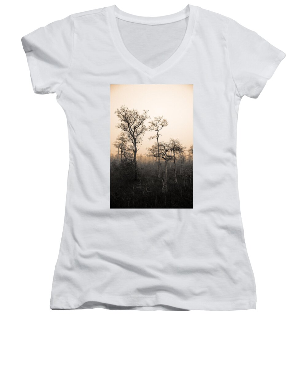 Cypress Swamp Women's V-Neck featuring the photograph Everglades Cypress Stand by Gary Dean Mercer Clark
