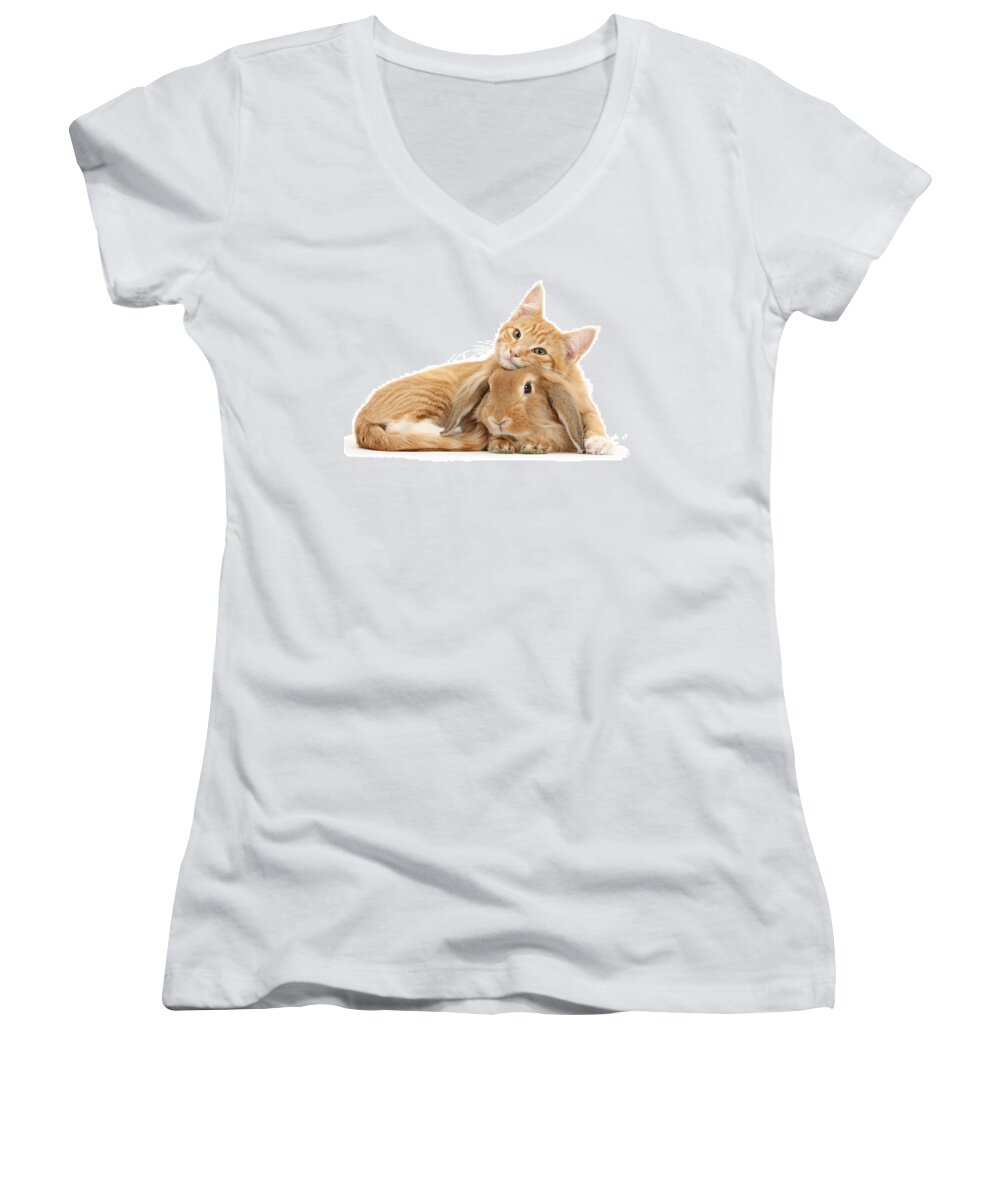 Sandy Lionhead Lop Women's V-Neck featuring the photograph Everybody needs a Bunny for a Pillow by Warren Photographic