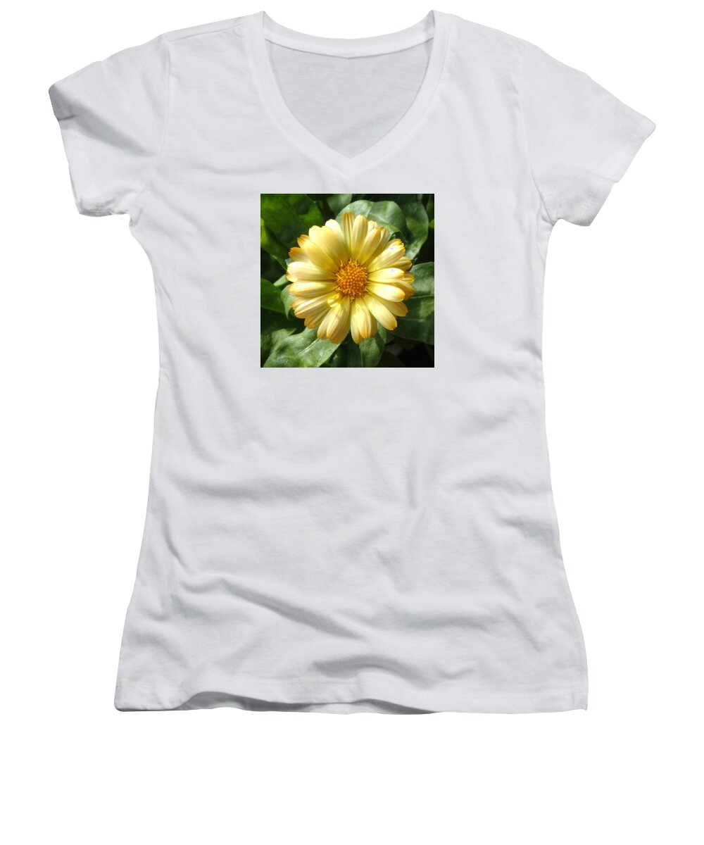 Yellow Women's V-Neck featuring the photograph First Sign of Summer by Johanna Hurmerinta
