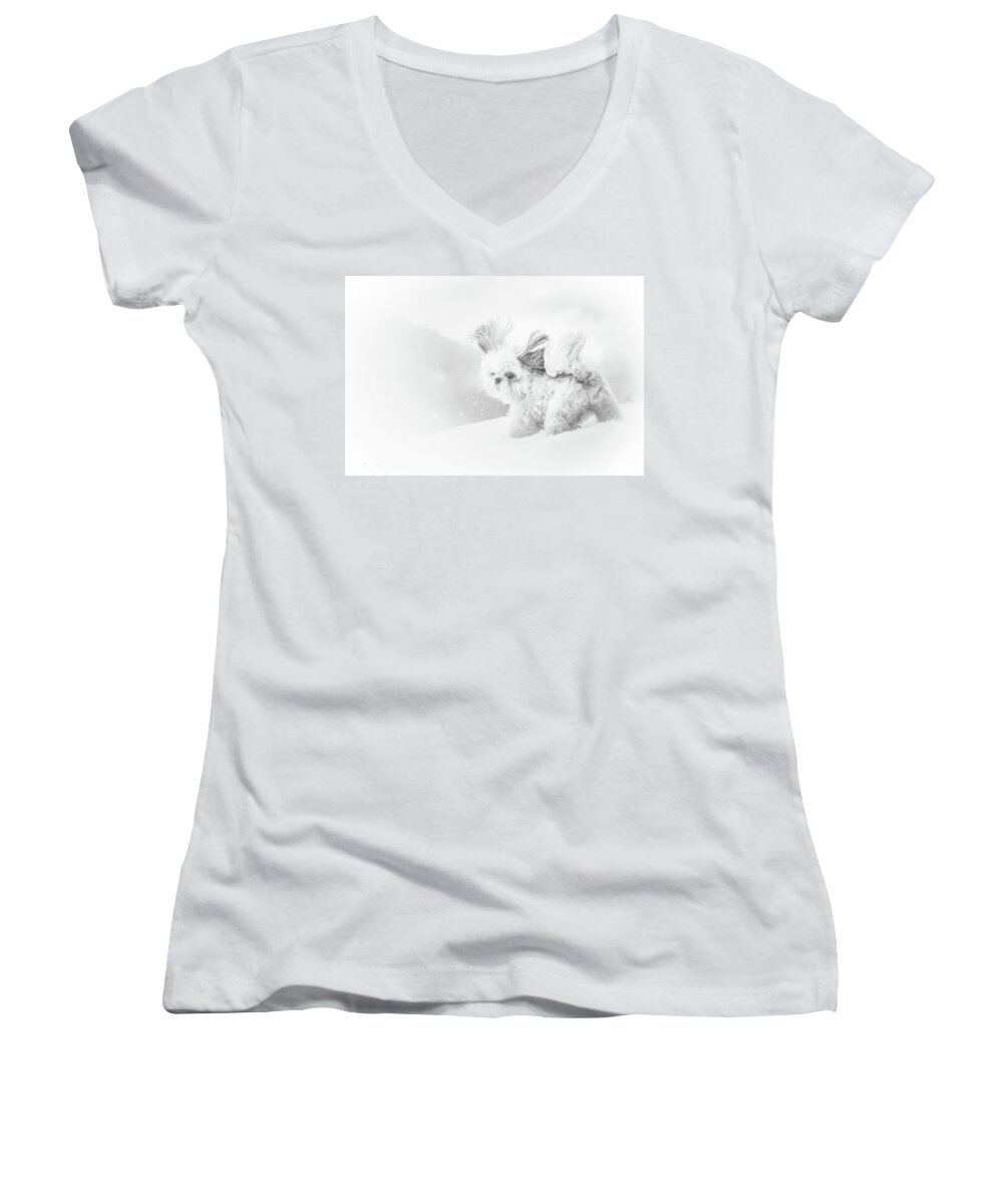 Puppy Women's V-Neck featuring the photograph First Snow by Joy McAdams