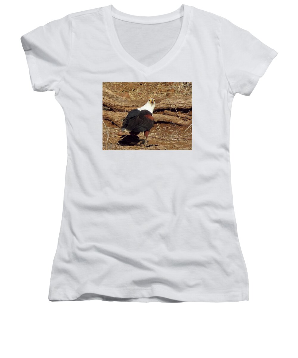 Fish Eagle Women's V-Neck featuring the photograph Fish Eagle by Jennifer Wheatley Wolf