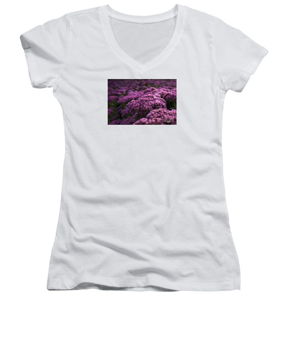 Purple Women's V-Neck featuring the photograph Sedum Flower detail by Inge Riis McDonald