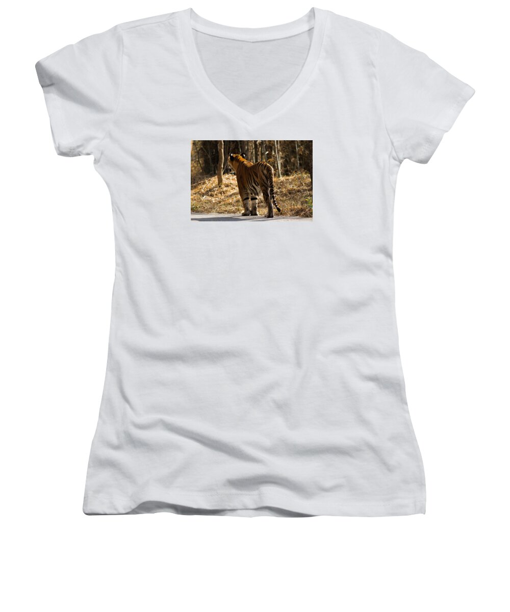 Tiger Women's V-Neck featuring the photograph Focused by Ramabhadran Thirupattur
