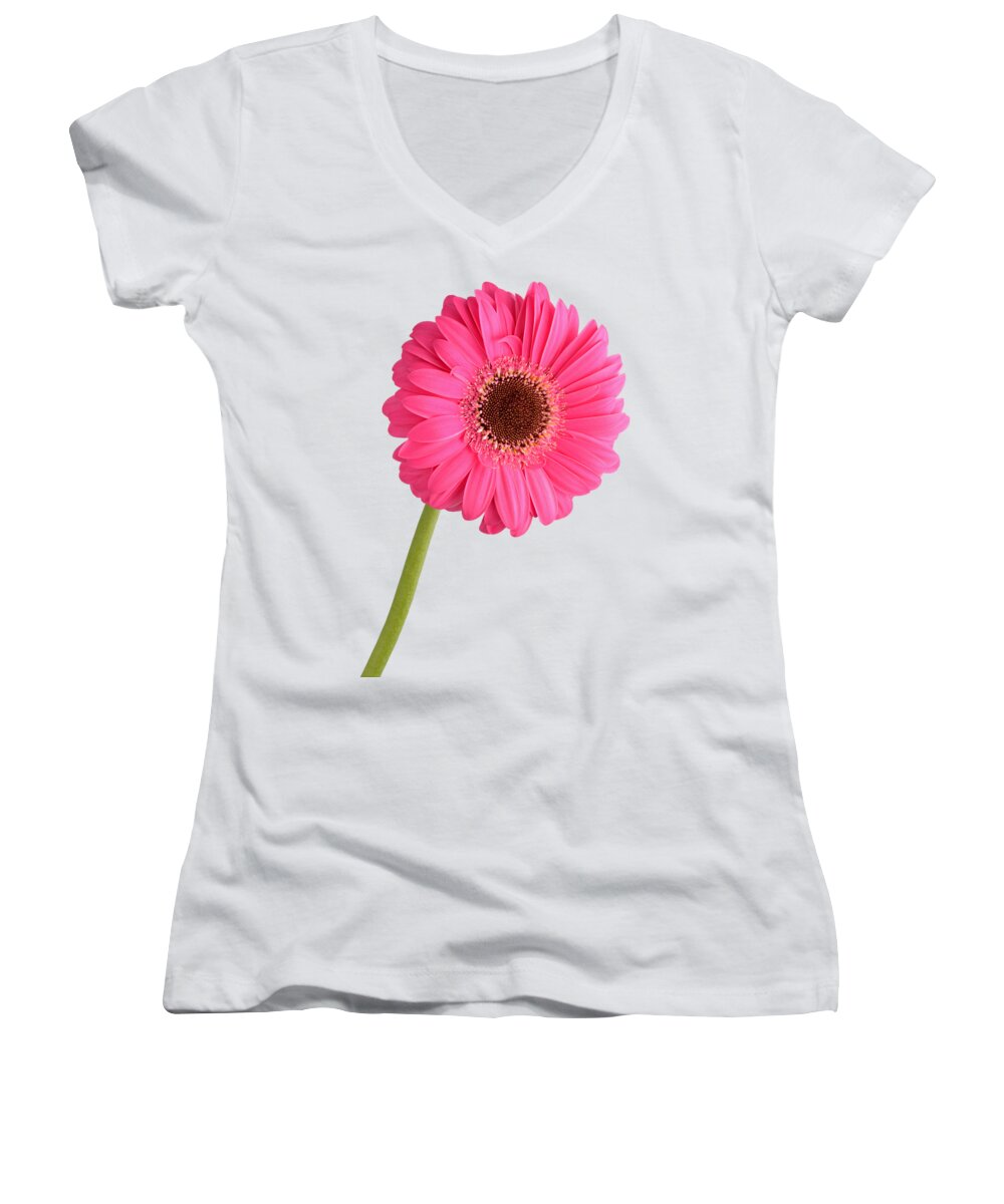 Gerbera; Daisy; Gerberas; Daisies; Red; Pink; Flower; Plant; Spring; Flowers; Photograph; Photography; Springtime; Season; Nature; Natural; Natural Environment; Flora; Bloom; Blooming; Blossom; Blossoming; Color; Colorful; Macro; Close-up; Detail; Details; Poppies; T-shirts; Slim Fit T-shirts; V-neck T-shirts; Long Sleeve T-shirts; Sweatshirts; Hoodies; Youth T-shirts; Toddler T-shirts; Baby Onesies; Women's T-shirts; Women's V-neck T-shirts; Junior T-shirts Women's V-Neck featuring the photograph Gerbera by George Atsametakis