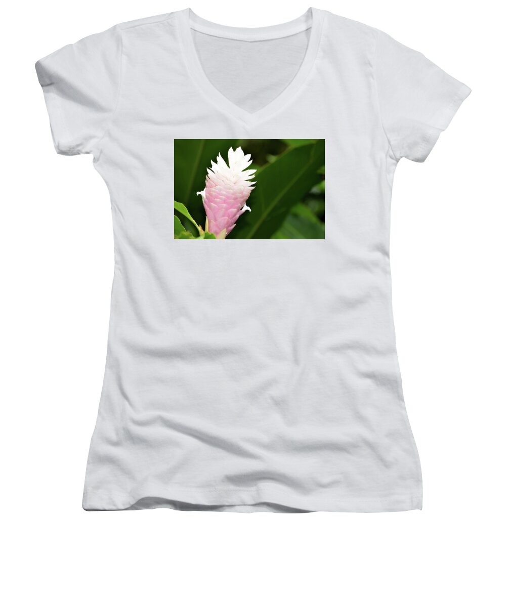 Flowers & Plants Women's V-Neck featuring the photograph Ginger Glow by Kathleen Maconachy