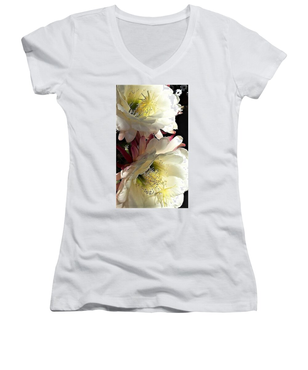 Cactus Women's V-Neck featuring the photograph Got It Made In The Shade by John Glass