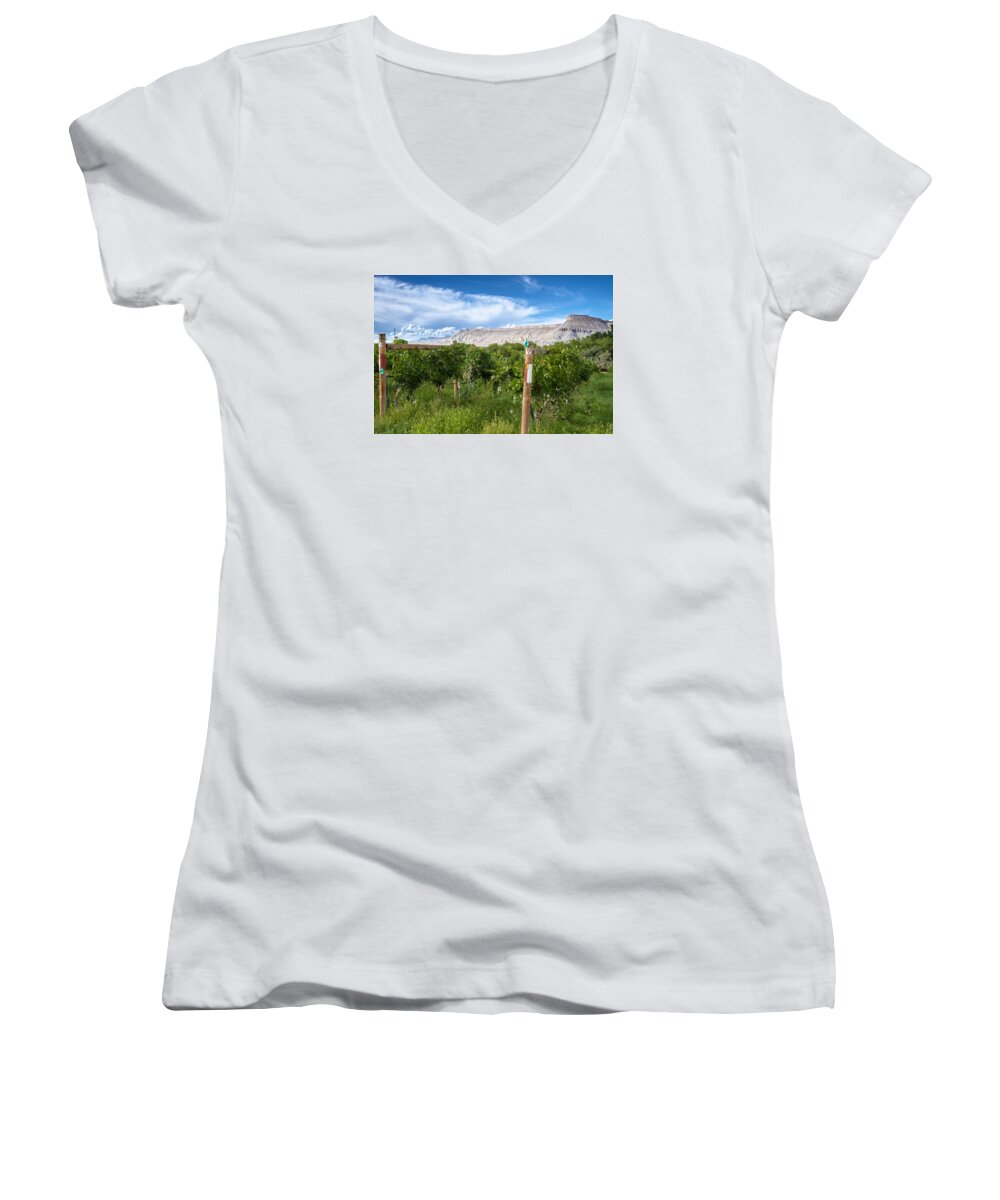 Colorado Women's V-Neck featuring the photograph Grand Valley Wine Vineyards by Teri Virbickis