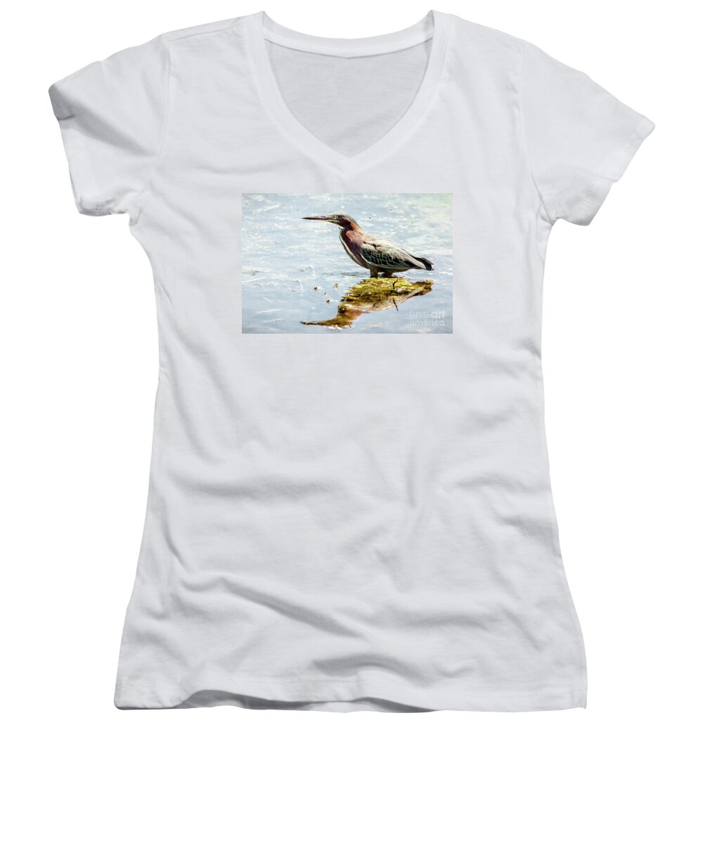 Wildlife Women's V-Neck featuring the photograph Green Heron Bright Day by Robert Frederick