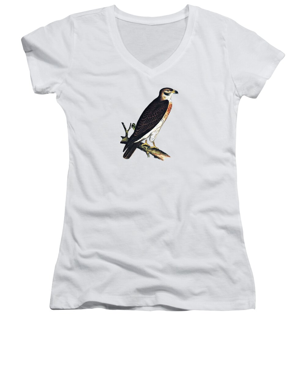 Hawk Women's V-Neck featuring the photograph Hawk Swainsons Hawk by Movie Poster Prints