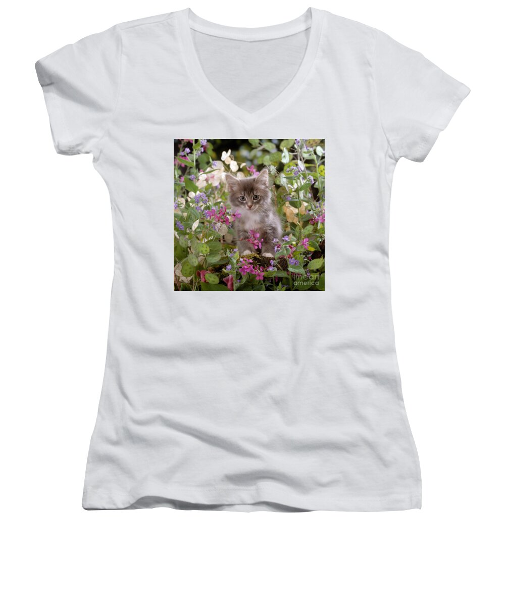 Fluffy Women's V-Neck featuring the photograph Honesty is my Name by Warren Photographic
