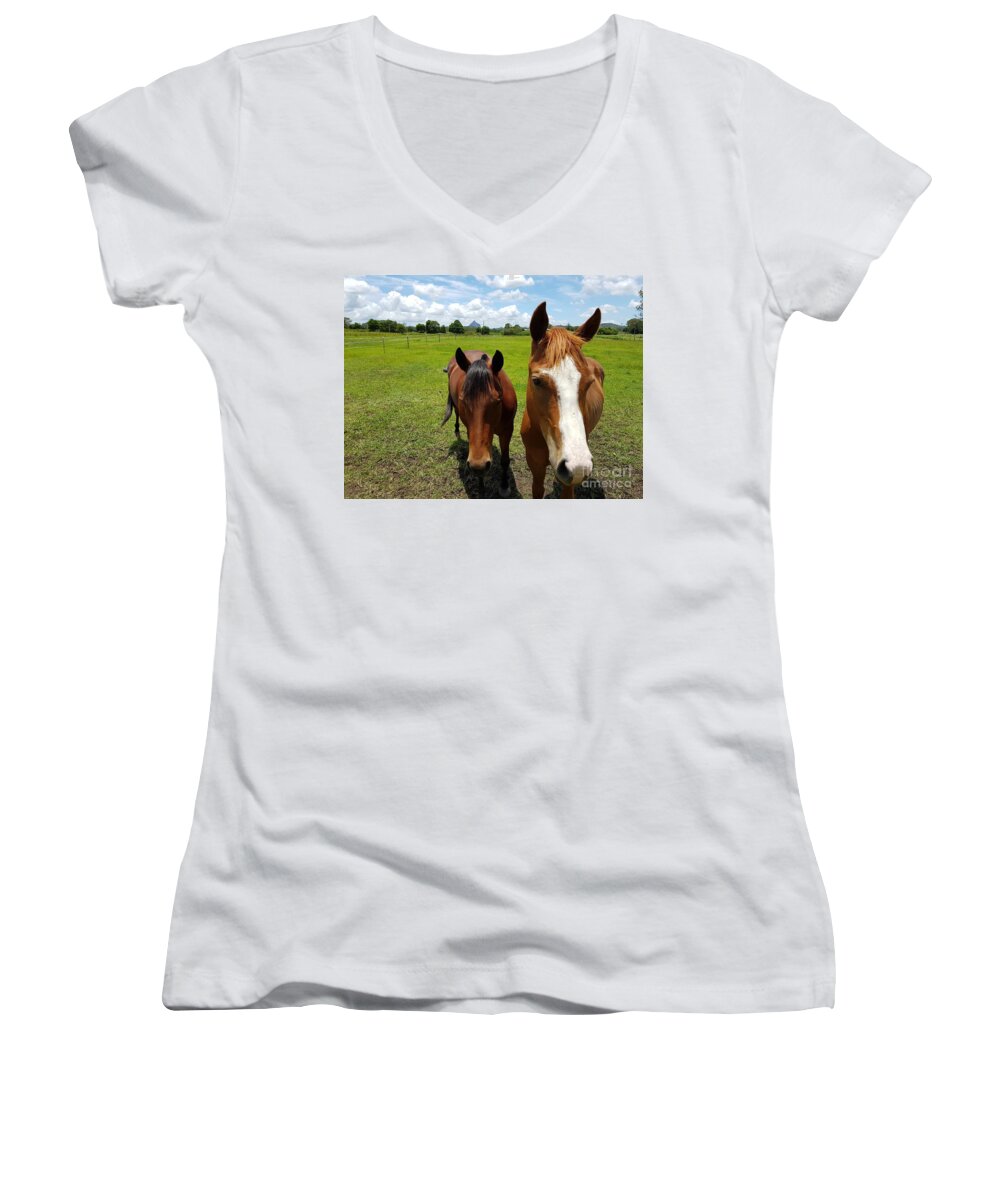 Horses Women's V-Neck featuring the photograph Horse Friendship by Cassy Allsworth