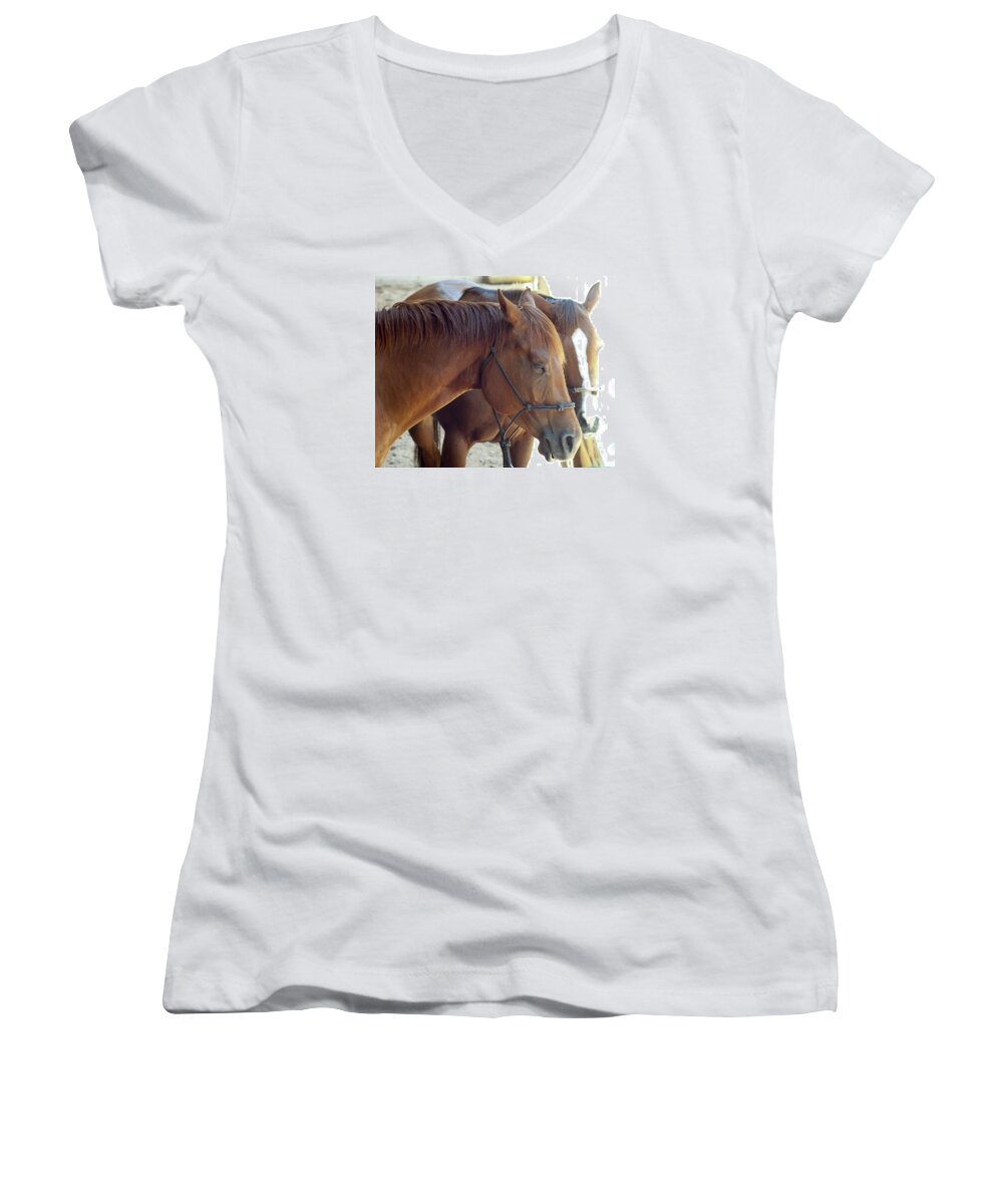 Horse Women's V-Neck featuring the photograph Horses by Brian Kinney