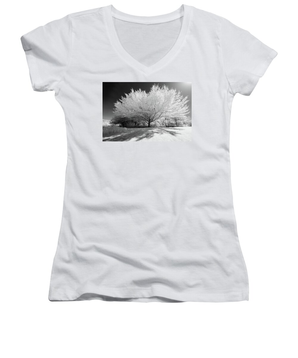 Infrared Ir Infra Red 720 720nm Nanometer Nm Outside Outdoors Nature Natural Sky Newengland New England Ma Mass Massachusetts Boylston Grass Branches Tree Trees Brian Hale Brianhalephoto Black And White Bnw Women's V-Neck featuring the photograph Infrared Tree Black and White by Brian Hale
