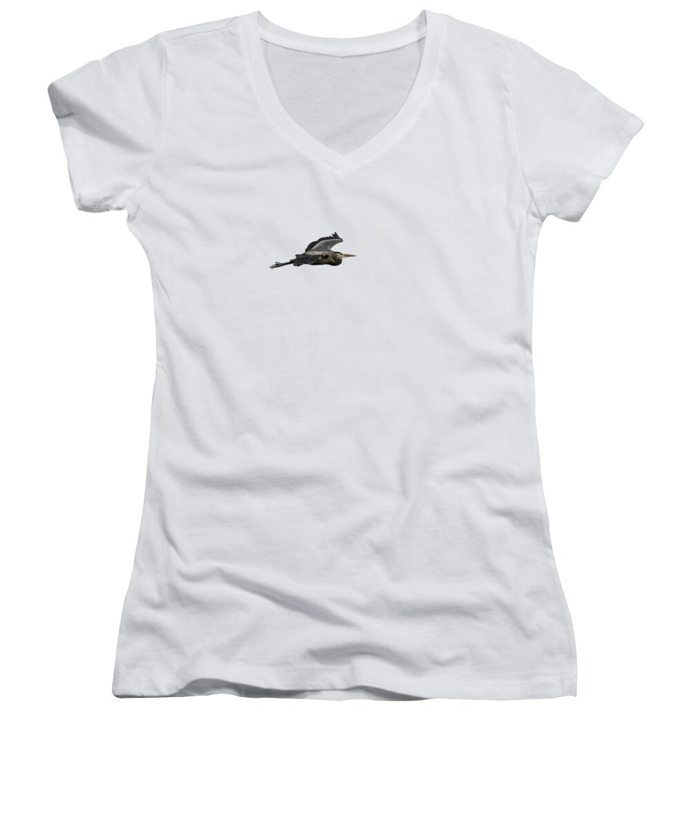 Great Blue Heron Women's V-Neck featuring the photograph Isolated Great Blue Heron 2015-2 by Thomas Young