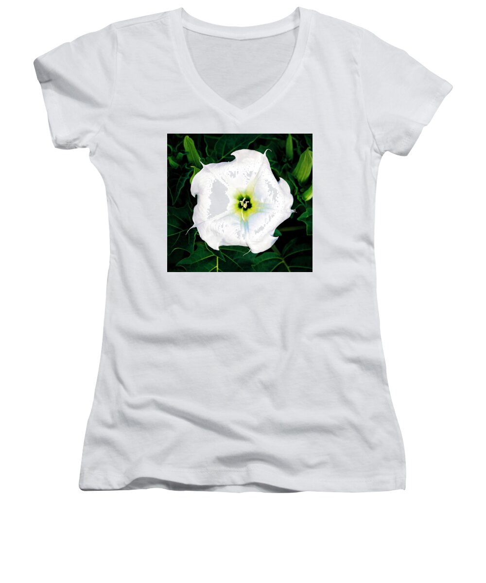 © 2017 Lou Novick All Rights Reserved Women's V-Neck featuring the photograph Jimson Weed #1 by Lou Novick