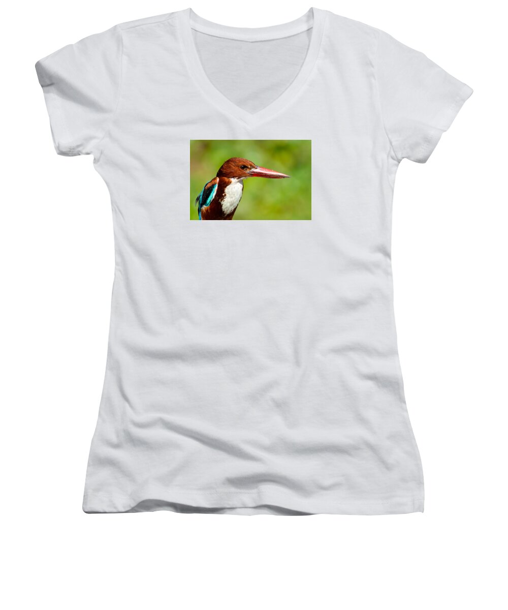 Kingfisher Women's V-Neck featuring the photograph Kingfisher_Portrait by Fotosas Photography