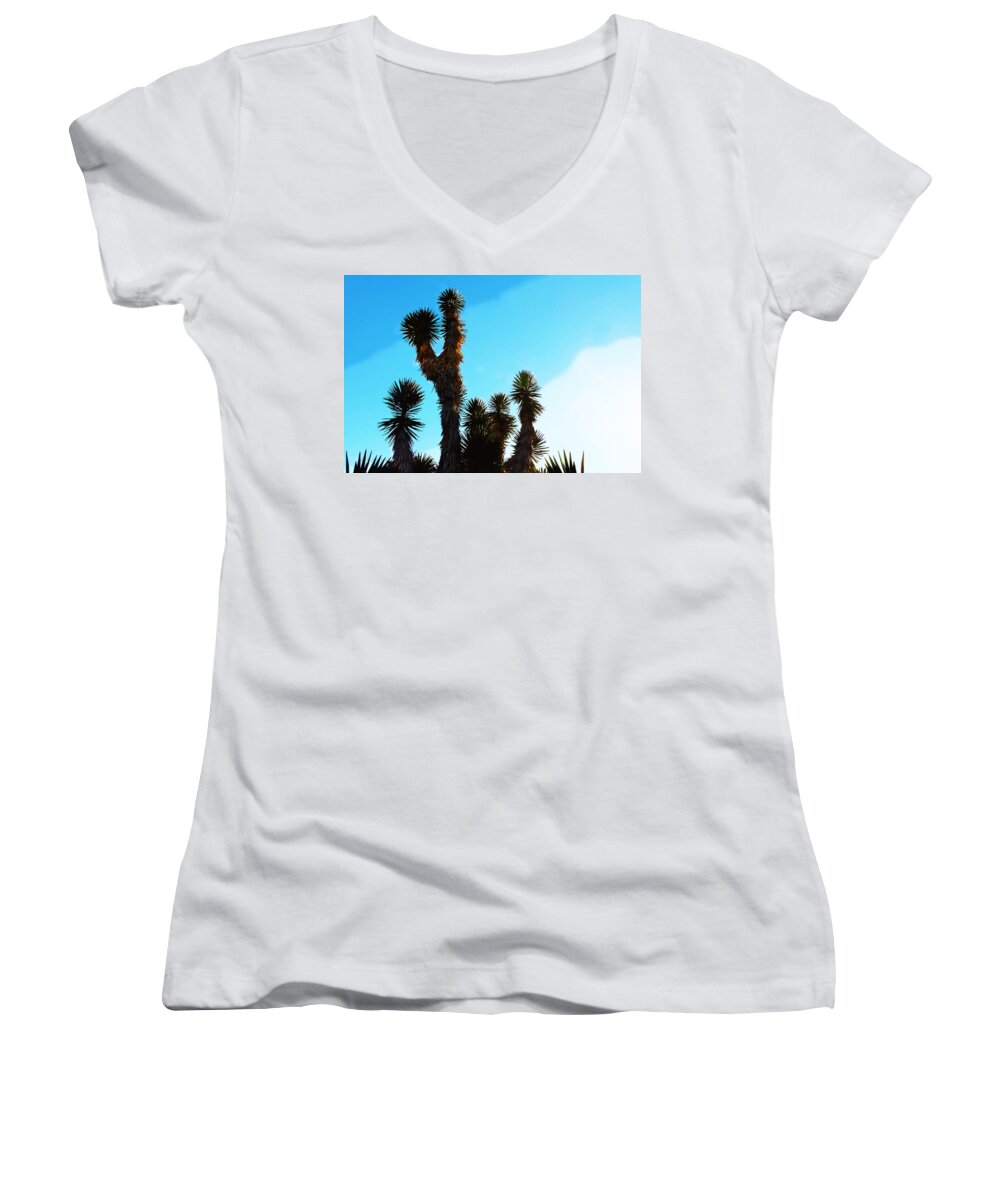 Susan Vineyard Women's V-Neck featuring the photograph Late Afternoon Cactus by Susan Vineyard