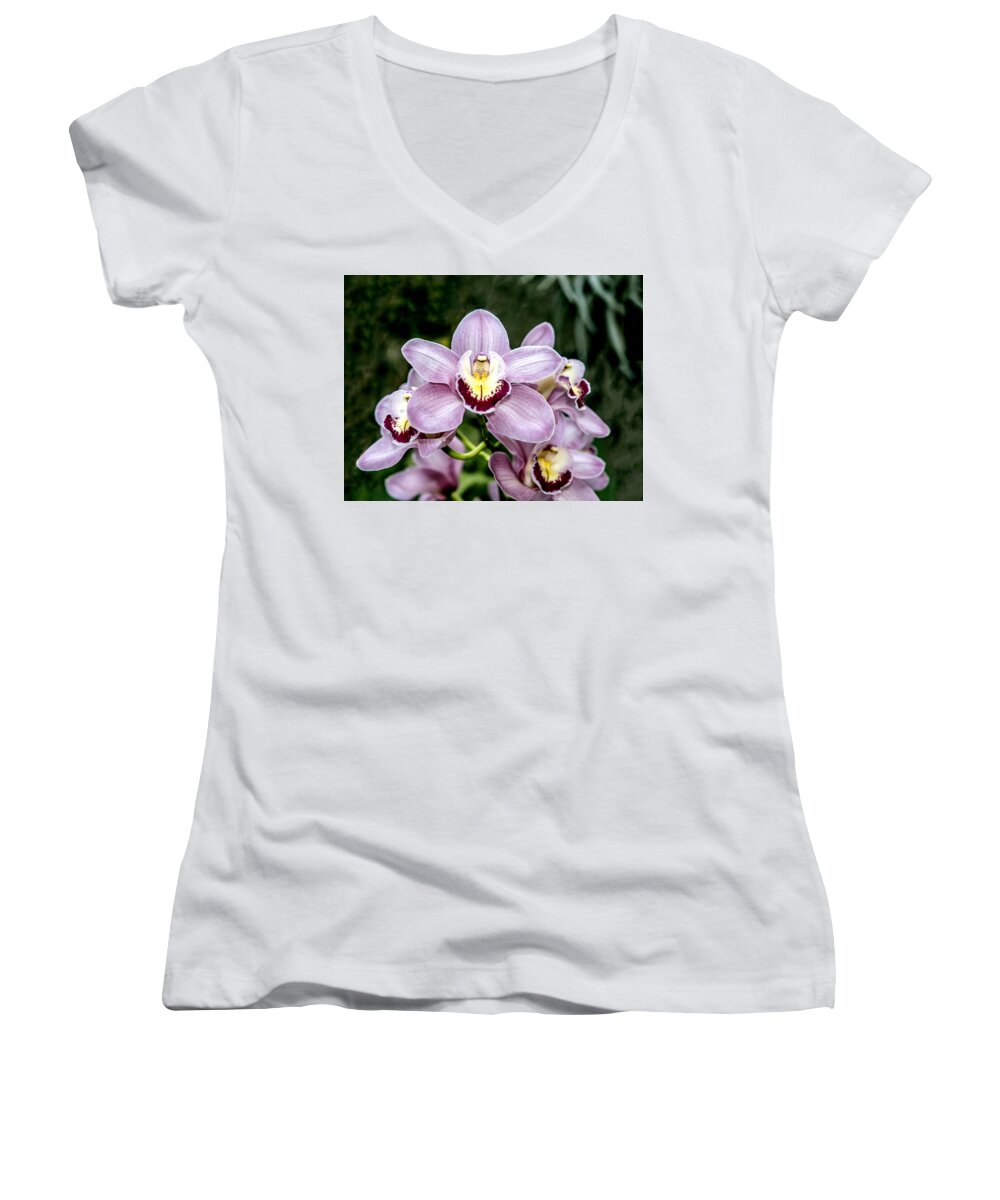 Flora Women's V-Neck featuring the photograph Lavender Orchid by William Bitman
