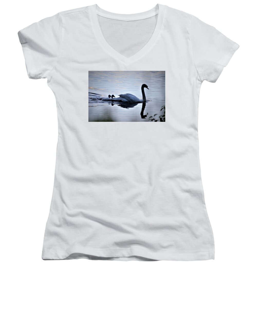 Swans Women's V-Neck featuring the photograph Leading the Way by Chuck Brown