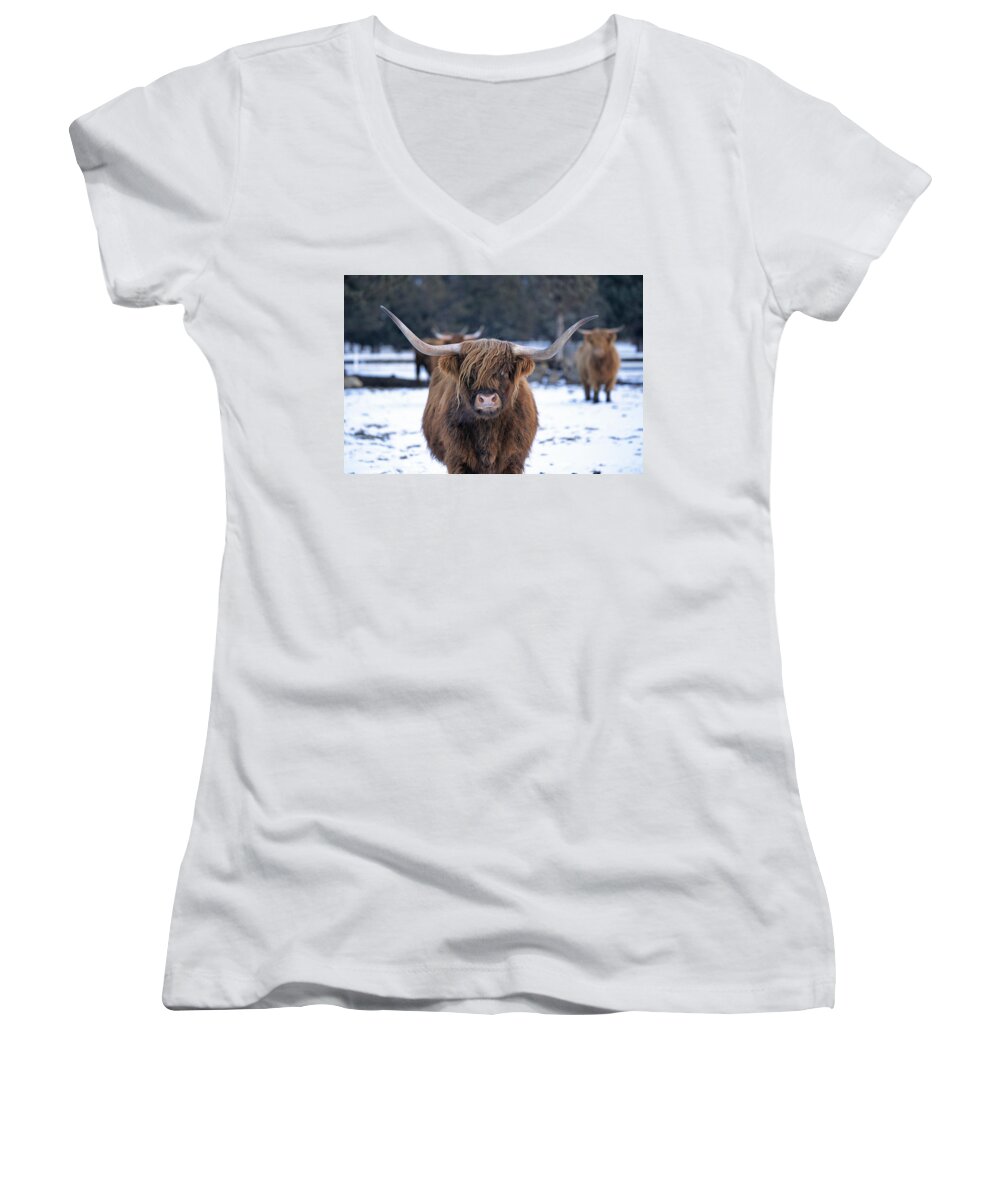 Longhorn Women's V-Neck featuring the photograph Longhorned Highland Cattle by Buddy Mays