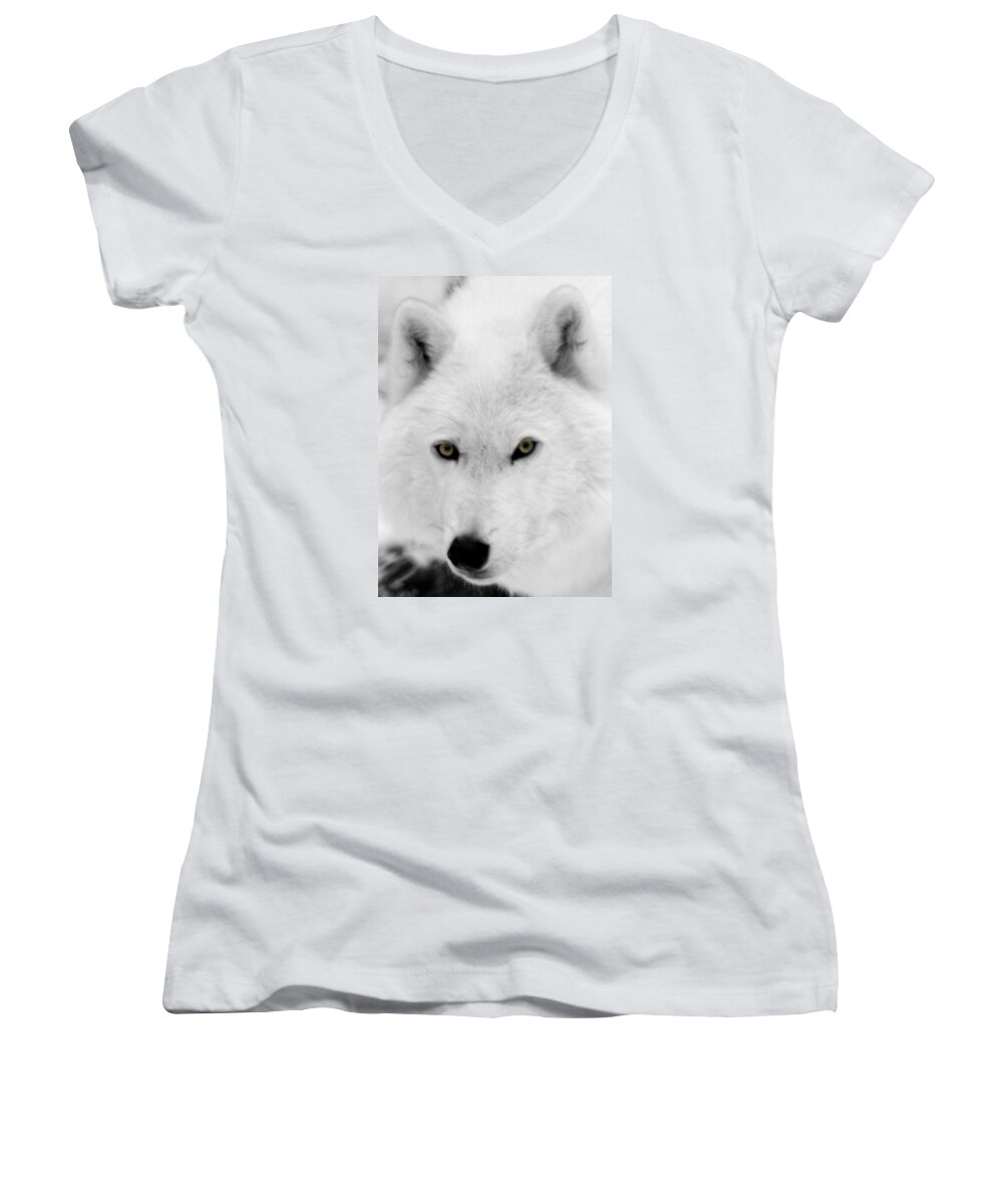 Arctic Wolf Women's V-Neck featuring the photograph Look into my eyes by Larry Ricker