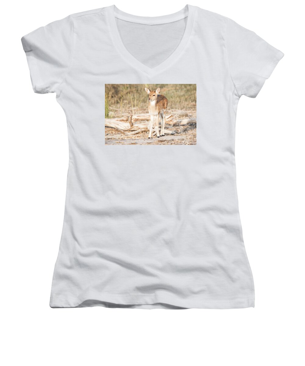 Deer Women's V-Neck featuring the photograph Looking for Mum by Pravine Chester