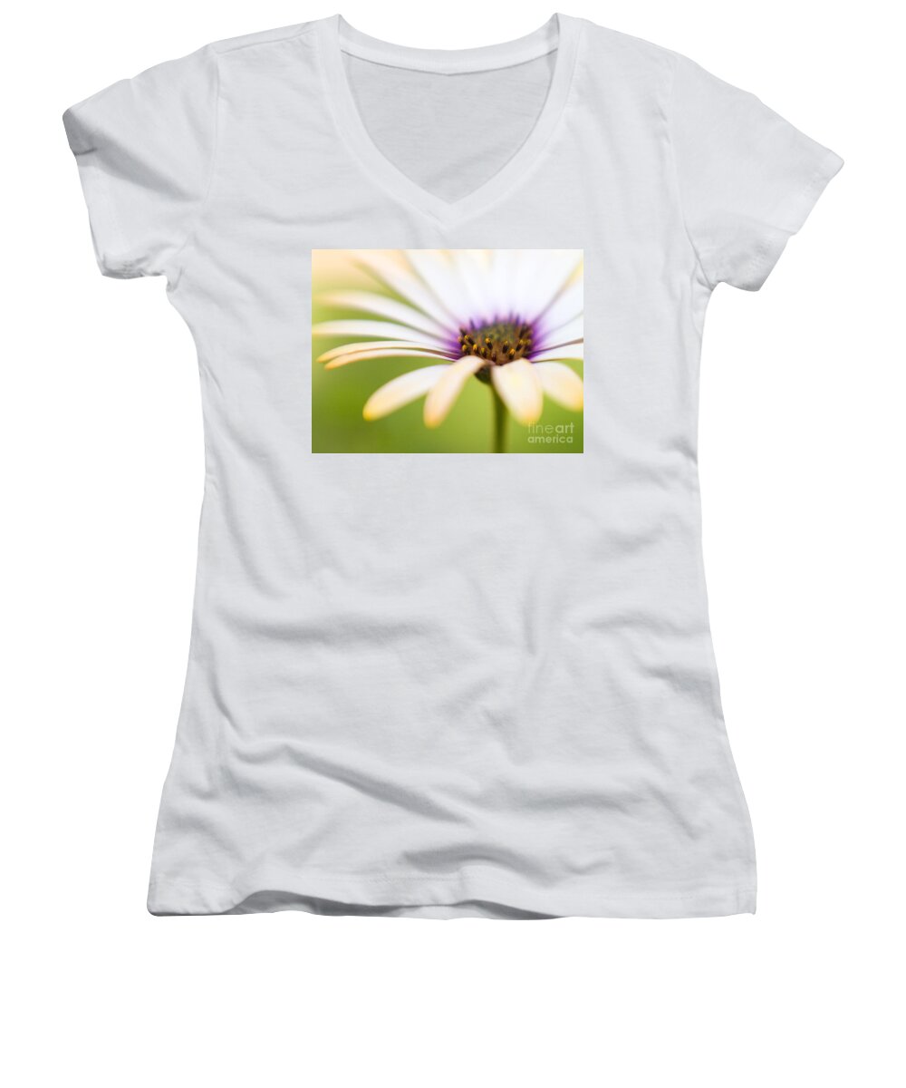 Flowers Women's V-Neck featuring the photograph Melon Symphony Macro 3 by Dorothy Lee