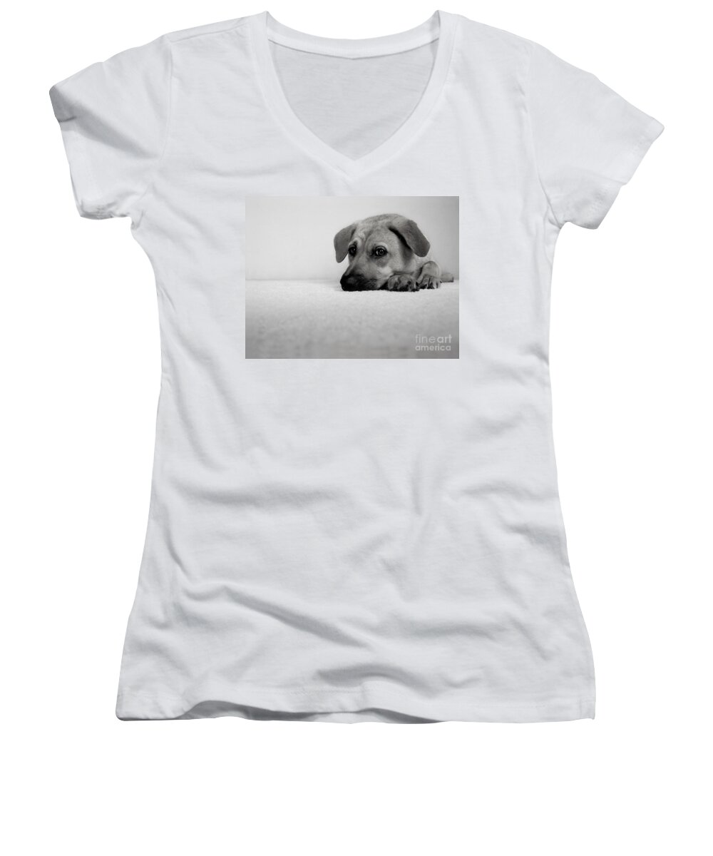 Animal Women's V-Neck featuring the photograph My Girl by Dana DiPasquale