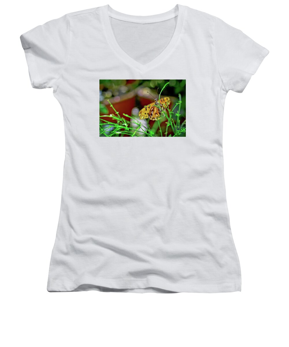 Abstract Women's V-Neck featuring the photograph Nature - Butterfly and Plants by Carlos Alkmin