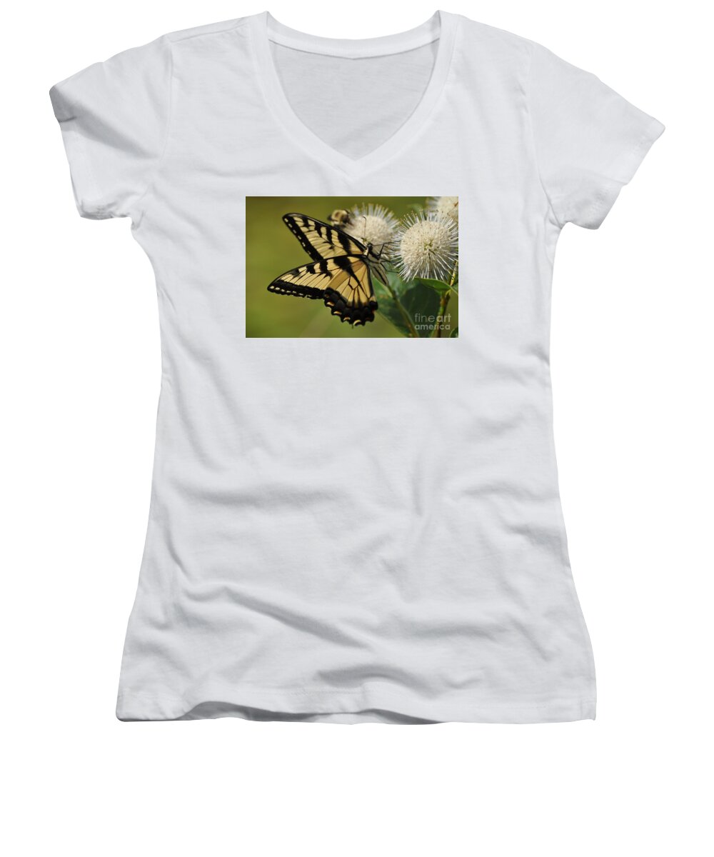 Bee Women's V-Neck featuring the photograph Natures Pin Cushion by Nona Kumah