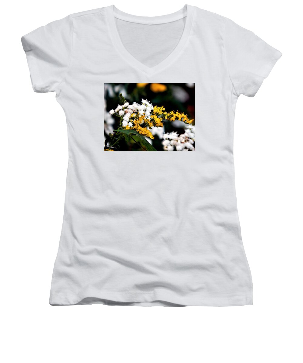 Autumn Women's V-Neck featuring the photograph Nemisis by Wild Thing