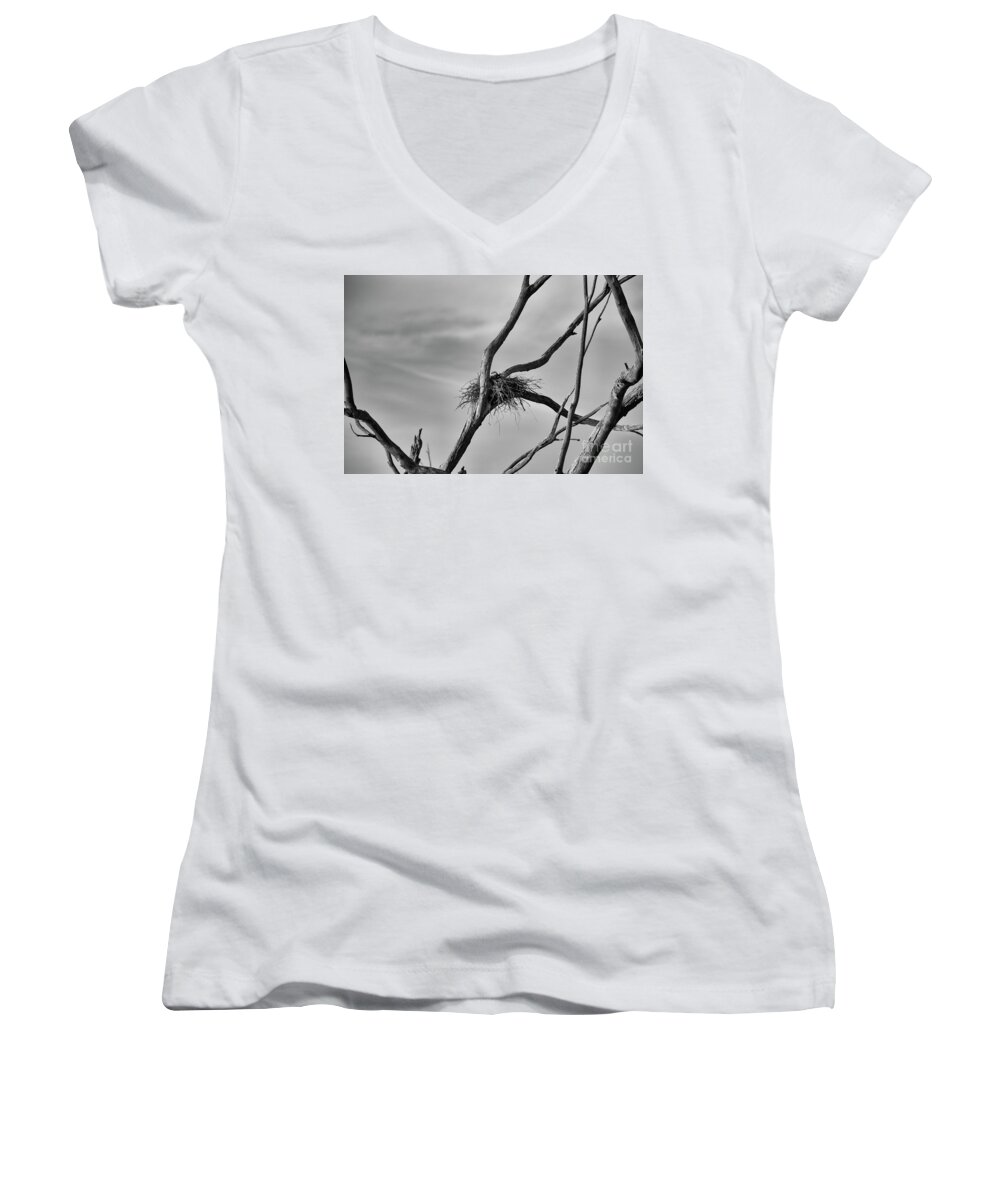 Black And White Women's V-Neck featuring the photograph Nested by Douglas Barnard