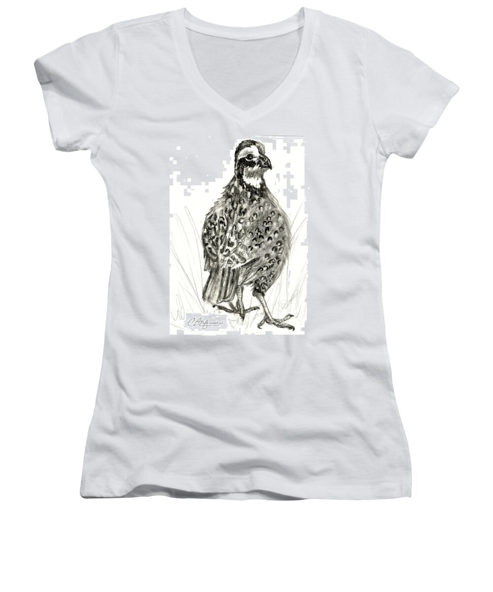 Quail Women's V-Neck featuring the drawing Northern bobwhite by Carol Allen Anfinsen