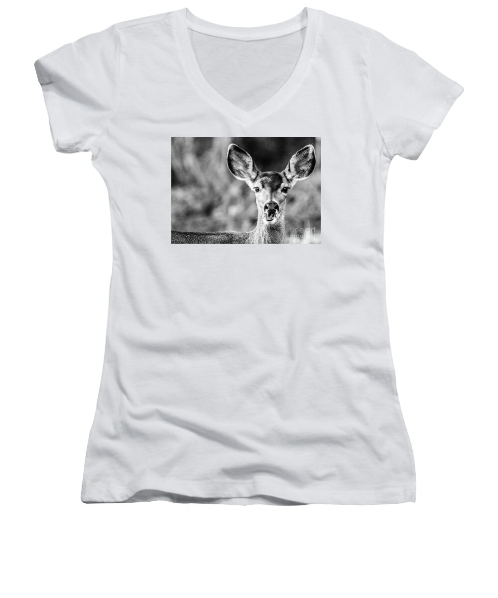 Wildlife Women's V-Neck featuring the photograph Oh, Deer, Black and White by Adam Morsa