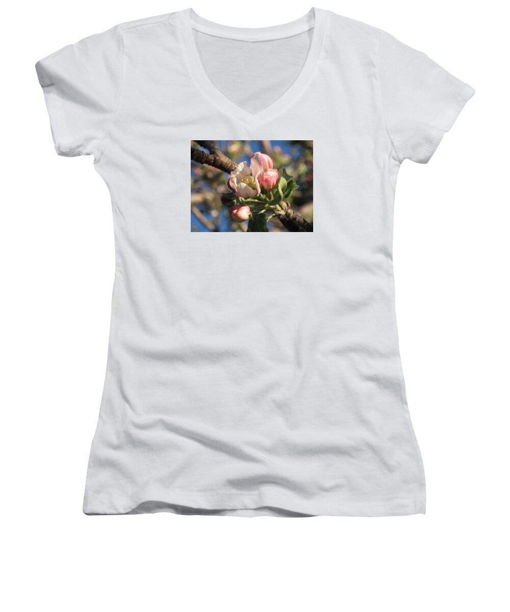  Women's V-Neck featuring the photograph Opening by Ron Monsour